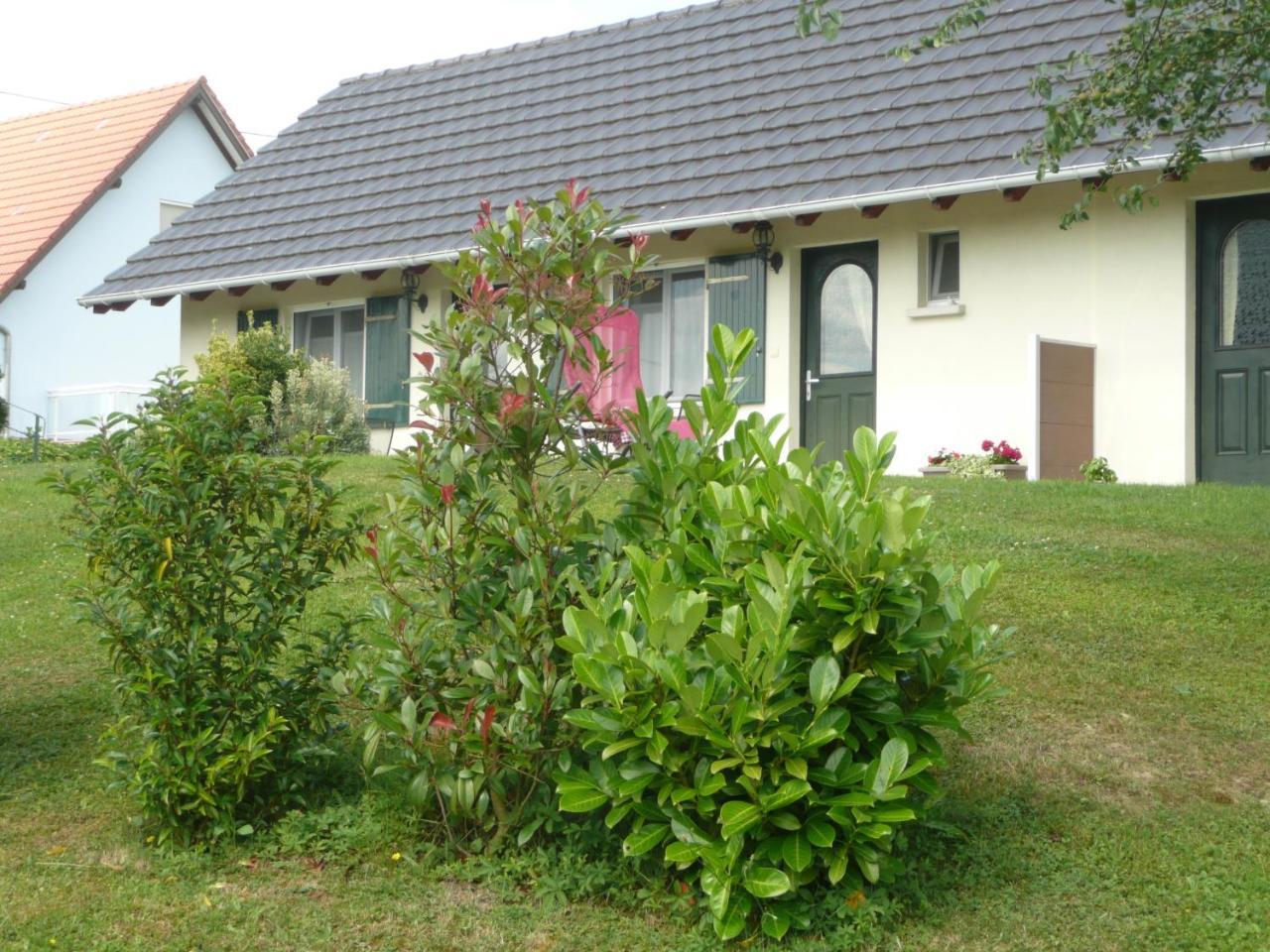 Chez Anny Et Jean Au Mittelbuehl-Reichshoffen Bed & Breakfast Eksteriør bilde